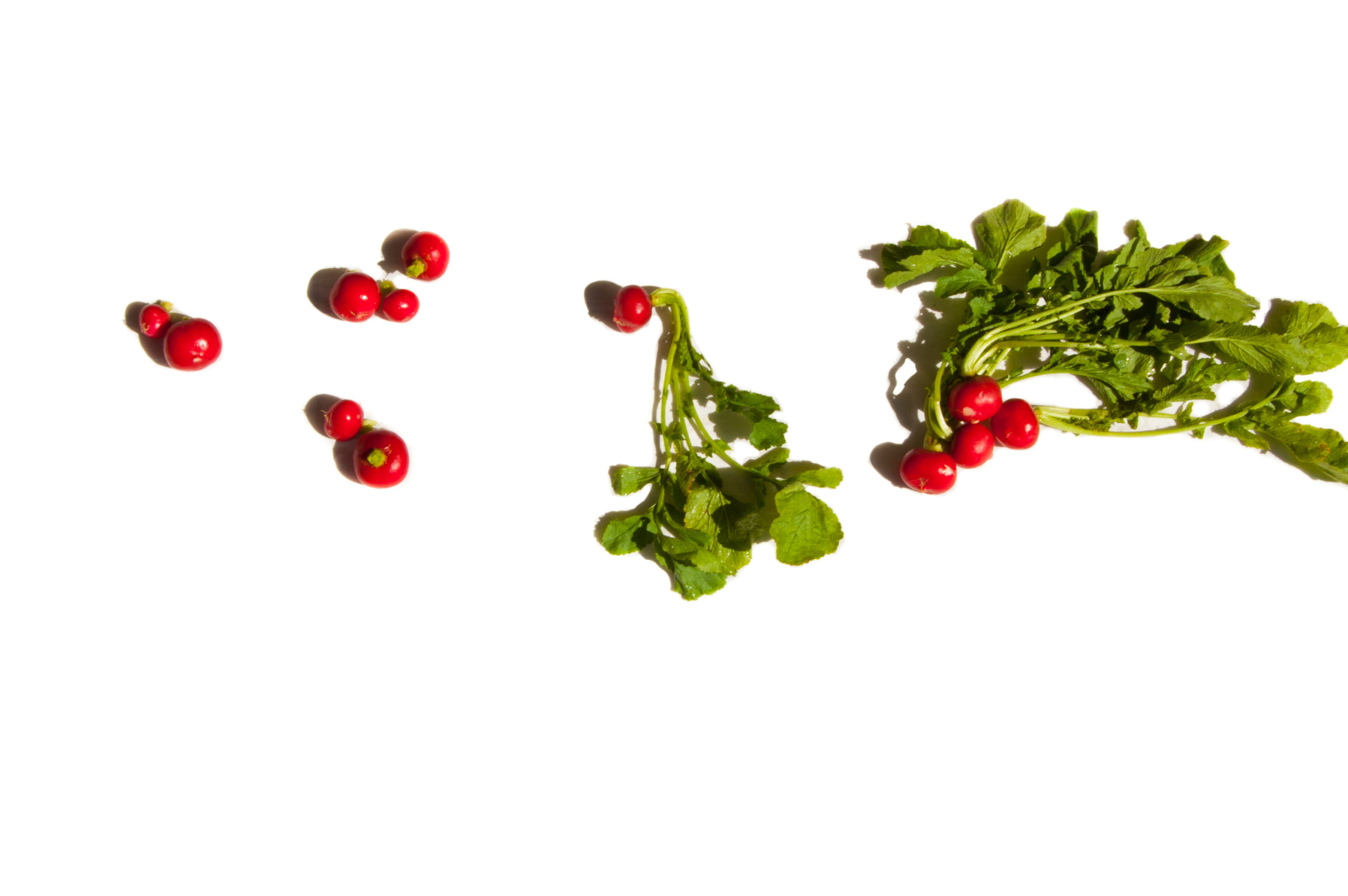 My 28 Day Fat Burning Detox