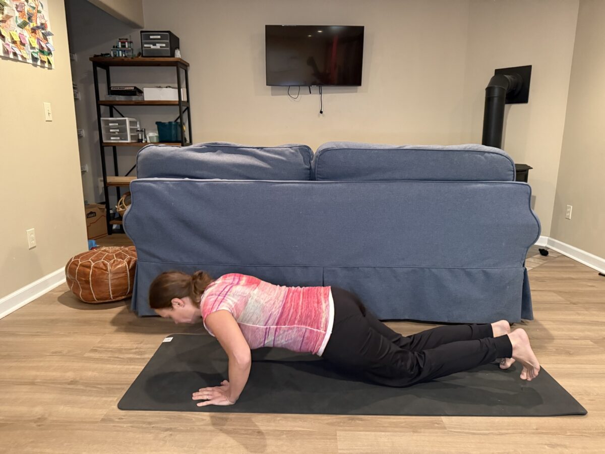 Quadruped Pushups
